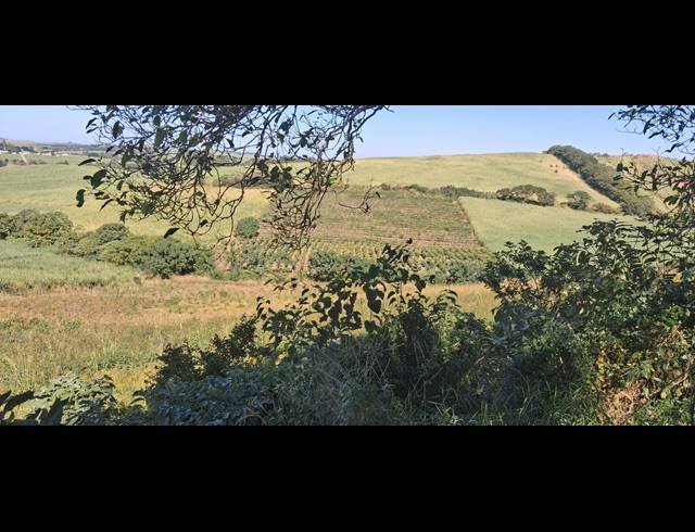 FARM FOR SALE IN HIGH RIDGE